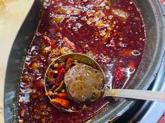 -赵美丽·重庆社区火锅·直营店(火车东站·中豪国际店)