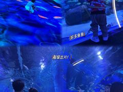 -顺德南宏海立方海洋公园