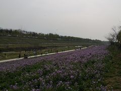 -洨河生态公园