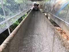 -牛鱼嘴原始生态风景区