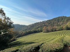 -敬亭山风景名胜区