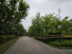 -黄兴公园