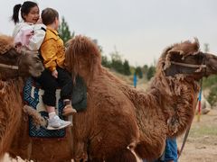 -鄂尔多斯野生动物园