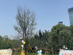 -白鹭洲公园