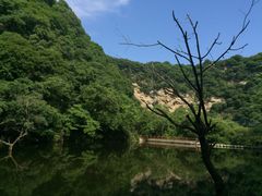 -少华山国家森林公园