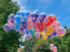 -上海迪士尼度假区