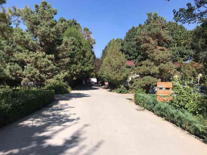 红柳湾山庄-"银川吃吃喝喝之旅第二天,不吃辣的江浙人.