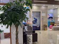 -茂菊口腔连锁(浦东南路店)
