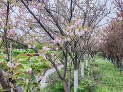 -南华大学(红湘校区)