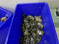 -七的湖·江南蟹舫·阳澄湖农家菜(蟹舫苑店)