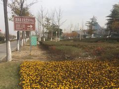 -泗洪县文化艺术中心