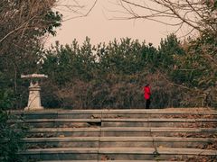 -函谷关历史文化旅游区