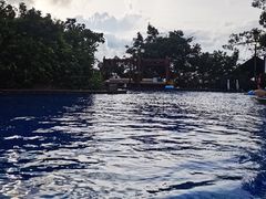 -三亚亚龙湾人间天堂鸟巢度假村