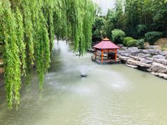 -同里湖度假村(二期店)