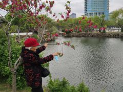 -无锡蠡湖国家湿地公园-蠡园