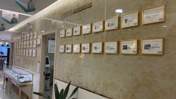 -新生植发·植养护一体