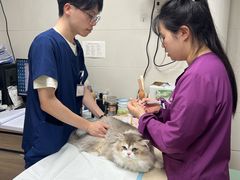 -爱侣·安琦尔宠物医院·中兽医针灸·心内科·狂犬免疫点(宝山区院)