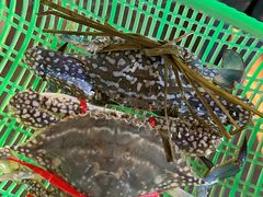 -花乐餐厅(涠洲岛店)