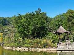 -广州市帽峰山景区