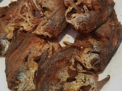 -谭家大米饭坛焖肉(长春大街店)