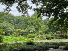 -杭州植物园
