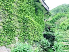 -枸杞岛