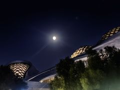 -哈尔滨大剧院