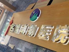 -瑞派名望志远动物医院·猫科·內科·异宠专科(直港大道店)