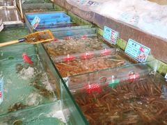 -琼菜王(南海店)