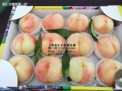 -南汇水蜜桃采摘(大团店)