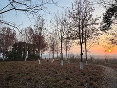-东湖落雁景区