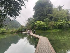 -靖西鹅泉风景区