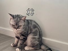-美联众合24小时·皮肤科·外科·全科诊疗中心(华苑分院)
