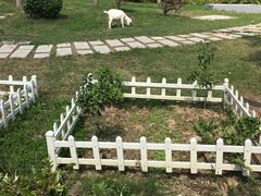 -上海滴水湖皇冠假日酒店