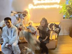 -Husky Go! 哈士奇体验馆·宠物咖啡厅狗咖