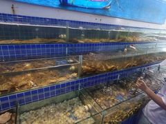 -仙螺岛海鲜自助餐厅(总店)