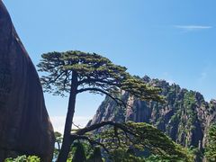 -黄山风景区