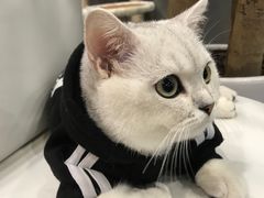 -书隐楼