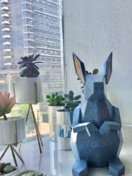 -杭州医巢医疗美容