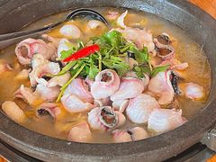 -大鼎石锅鱼(春江里店)