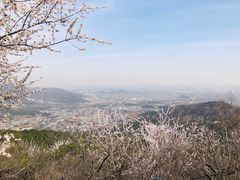 -香山公园