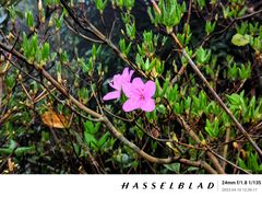 -广东罗浮山风景名胜区