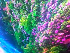 -南楚古都