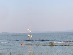 -贡湖湾湿地公园