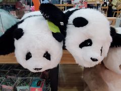 -熊猫邮局(少城店)
