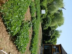 -重元寺香积厨素斋馆