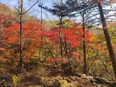 -名扬烤肉(起源店)