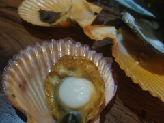 -土蚝·高压锅生蚝(百姓美食街店)