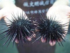 -阿军排档·烧烤