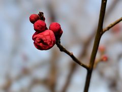 -山东大学(趵突泉校区)